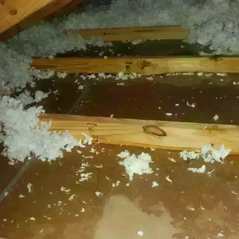 Attic Water Damage in Nelson, GA