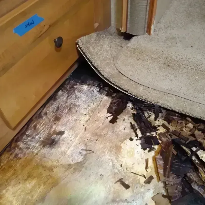 Wood Floor Water Damage in Nelson, GA